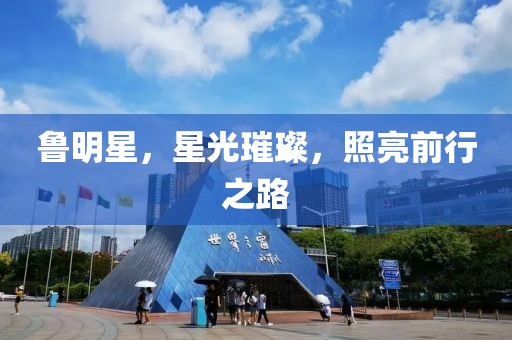 鲁明星，星光璀璨，照亮前行之路
