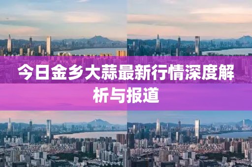 今日金乡大蒜最新行情深度解析与报道
