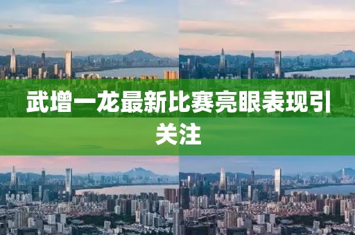 武增一龙最新比赛亮眼表现引关注
