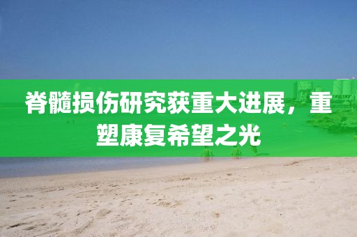 脊髓损伤研究获重大进展，重塑康复希望之光