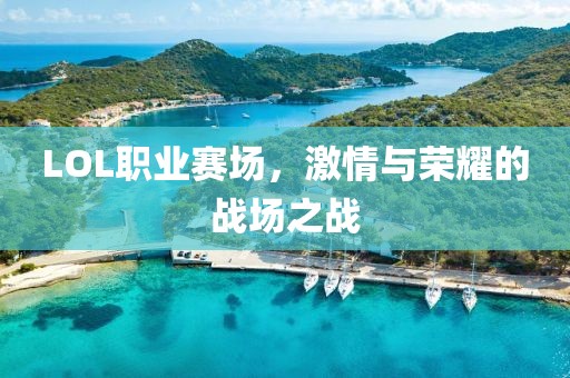 LOL职业赛场，激情与荣耀的战场之战