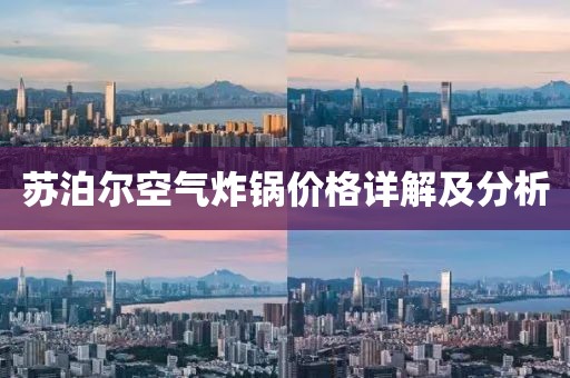 苏泊尔空气炸锅价格详解及分析