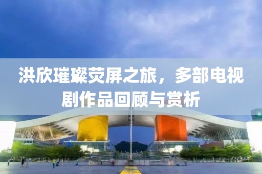 洪欣璀璨荧屏之旅，多部电视剧作品回顾与赏析