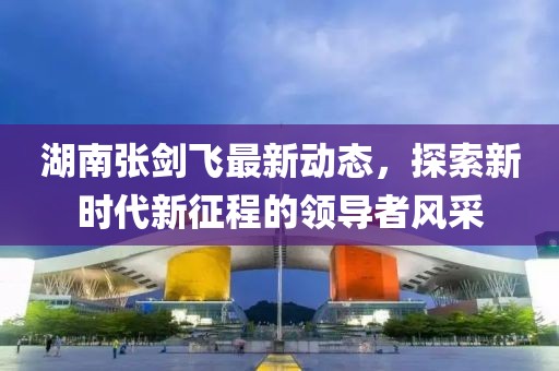 湖南张剑飞最新动态，探索新时代新征程的领导者风采