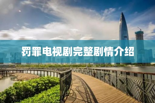 罚罪电视剧完整剧情介绍