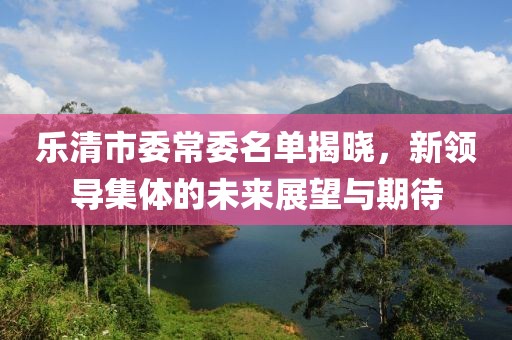 乐清市委常委名单揭晓，新领导集体的未来展望与期待