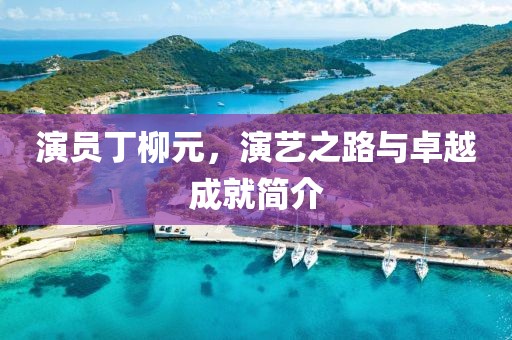 演员丁柳元，演艺之路与卓越成就简介