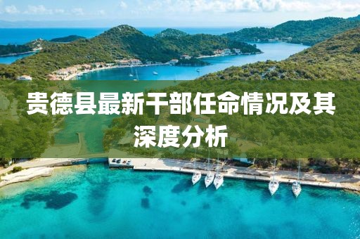 贵德县最新干部任命情况及其深度分析
