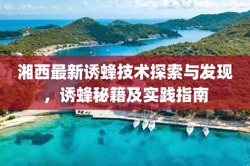 湘西最新诱蜂技术探索与发现，诱蜂秘籍及实践指南
