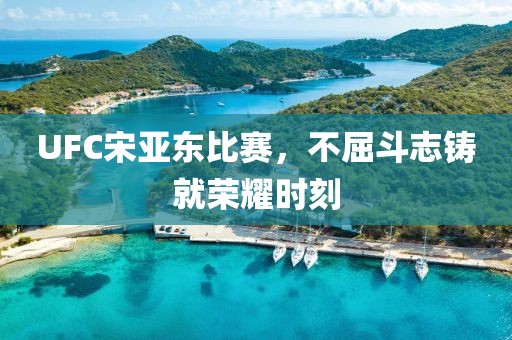 UFC宋亚东比赛，不屈斗志铸就荣耀时刻
