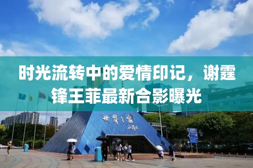 时光流转中的爱情印记，谢霆锋王菲最新合影曝光