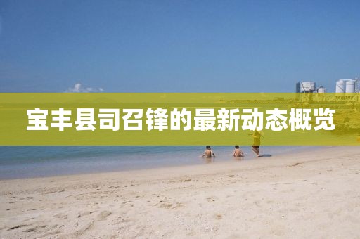 宝丰县司召锋的最新动态概览