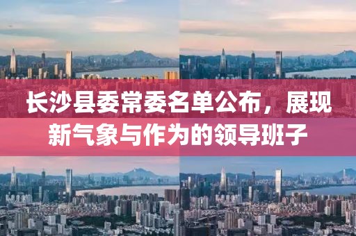 长沙县委常委名单公布，展现新气象与作为的领导班子