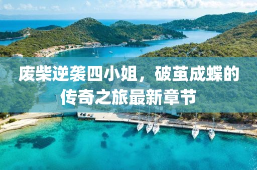 废柴逆袭四小姐，破茧成蝶的传奇之旅最新章节