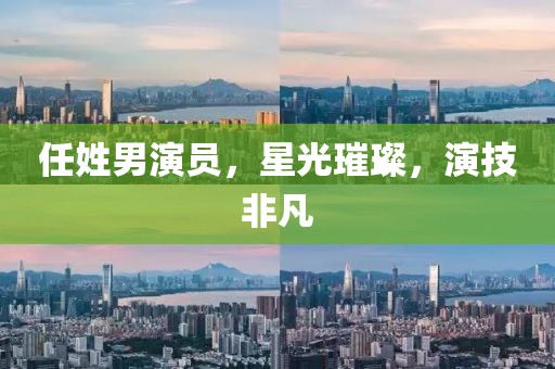 任姓男演员，星光璀璨，演技非凡
