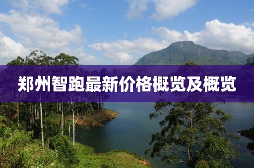 郑州智跑最新价格概览及概览