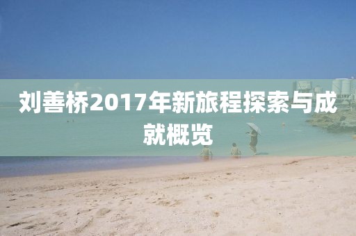 刘善桥2017年新旅程探索与成就概览