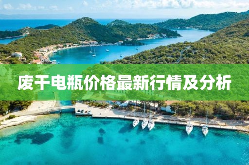 废干电瓶价格最新行情及分析