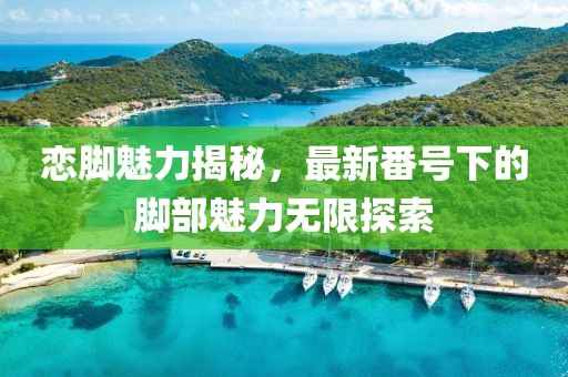 恋脚魅力揭秘，最新番号下的脚部魅力无限探索