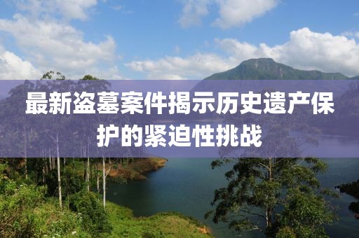 最新盗墓案件揭示历史遗产保护的紧迫性挑战