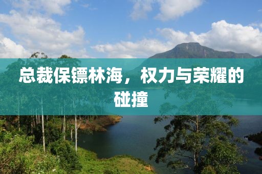 总裁保镖林海，权力与荣耀的碰撞