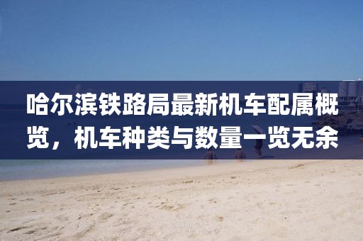 哈尔滨铁路局最新机车配属概览，机车种类与数量一览无余