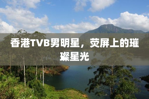 香港TVB男明星，荧屏上的璀璨星光