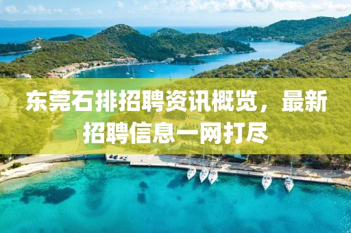 东莞石排招聘资讯概览，最新招聘信息一网打尽