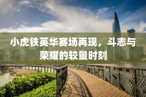 小虎铁英华赛场再现，斗志与荣耀的较量时刻