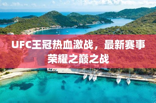UFC王冠热血激战，最新赛事荣耀之巅之战