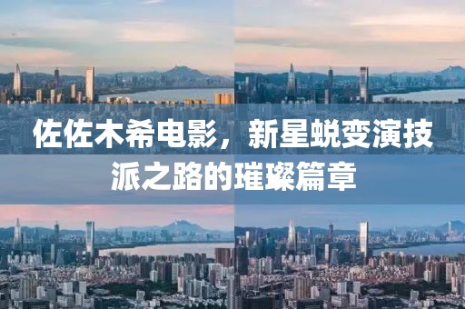 佐佐木希电影，新星蜕变演技派之路的璀璨篇章