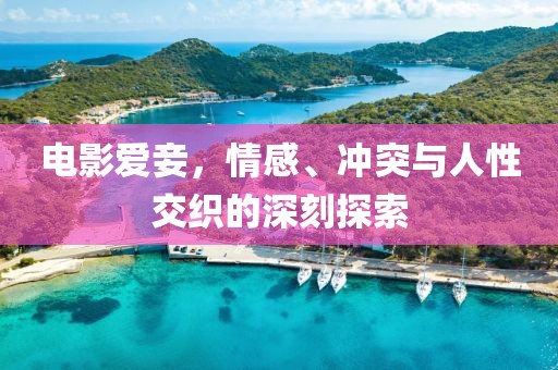 电影爱妾，情感、冲突与人性交织的深刻探索