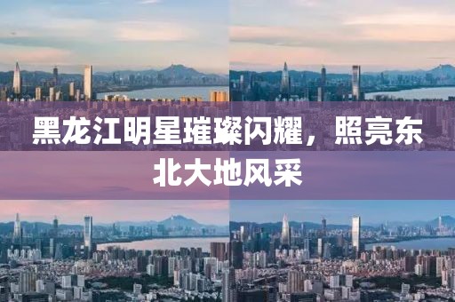 黑龙江明星璀璨闪耀，照亮东北大地风采