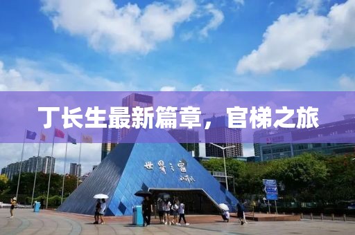 丁长生最新篇章，官梯之旅