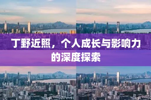 丁野近照，个人成长与影响力的深度探索
