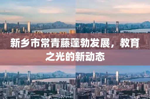 新乡市常青藤蓬勃发展，教育之光的新动态