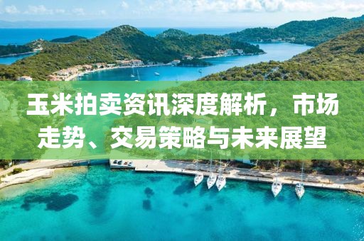 玉米拍卖资讯深度解析，市场走势、交易策略与未来展望