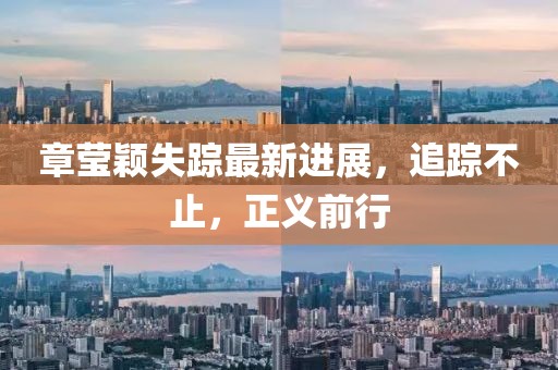章莹颖失踪最新进展，追踪不止，正义前行