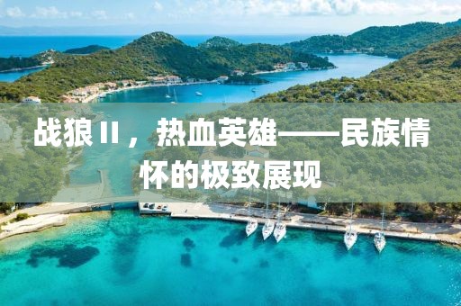 战狼Ⅱ，热血英雄——民族情怀的极致展现