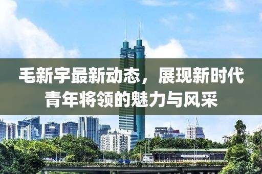 毛新宇最新动态，展现新时代青年将领的魅力与风采