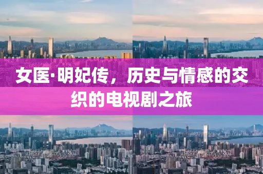 女医·明妃传，历史与情感的交织的电视剧之旅