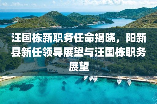 汪国栋新职务任命揭晓，阳新县新任领导展望与汪国栋职务展望