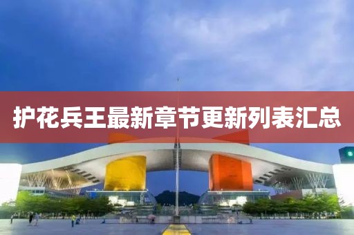 护花兵王最新章节更新列表汇总