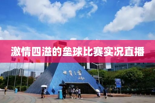 激情四溢的垒球比赛实况直播