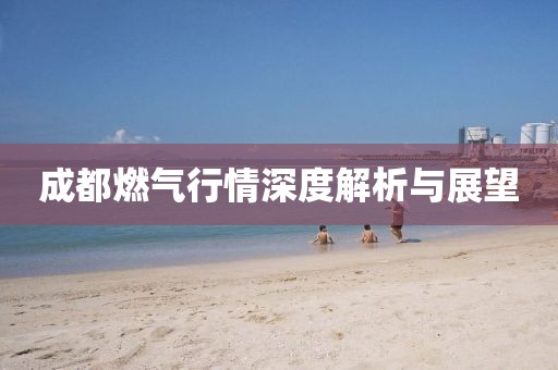 成都燃气行情深度解析与展望