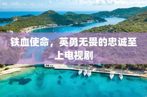 铁血使命，英勇无畏的忠诚至上电视剧