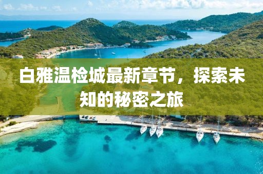白雅温检城最新章节，探索未知的秘密之旅