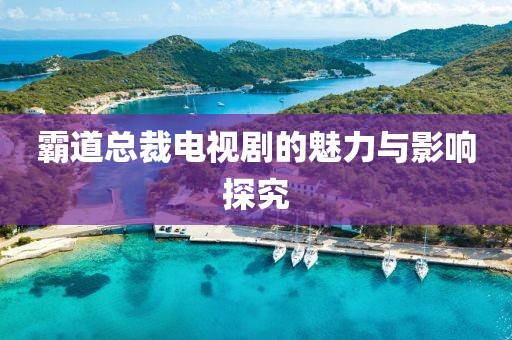 霸道总裁电视剧的魅力与影响探究