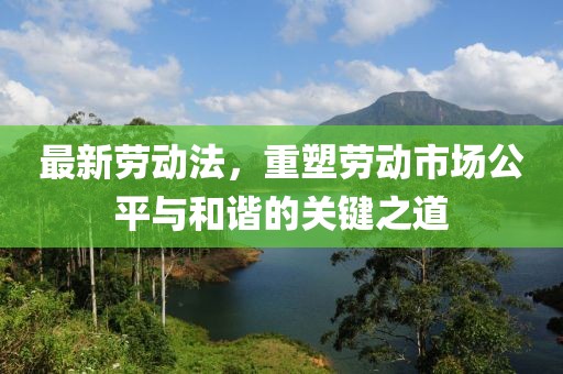 最新劳动法，重塑劳动市场公平与和谐的关键之道