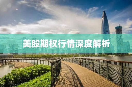 美股期权行情深度解析